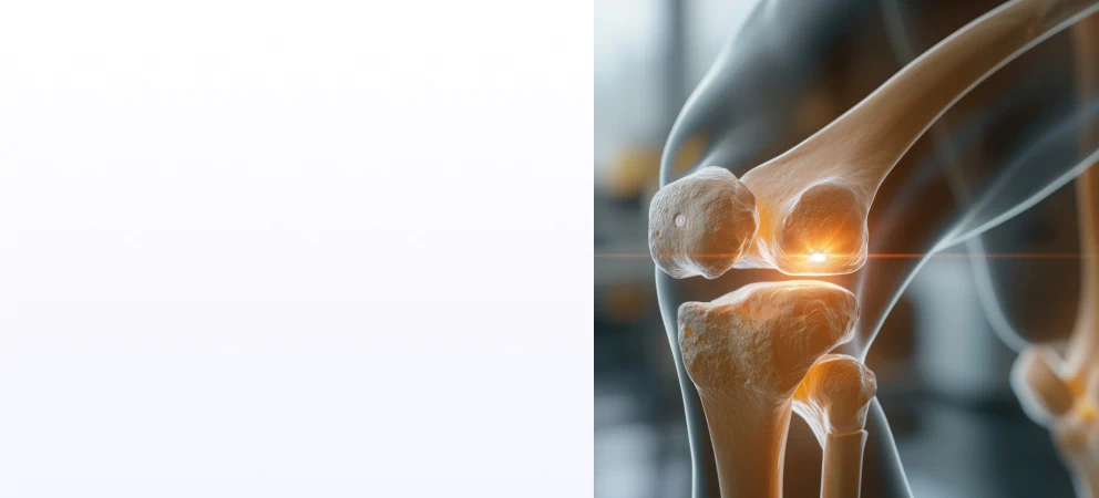 Bone and joint health visual