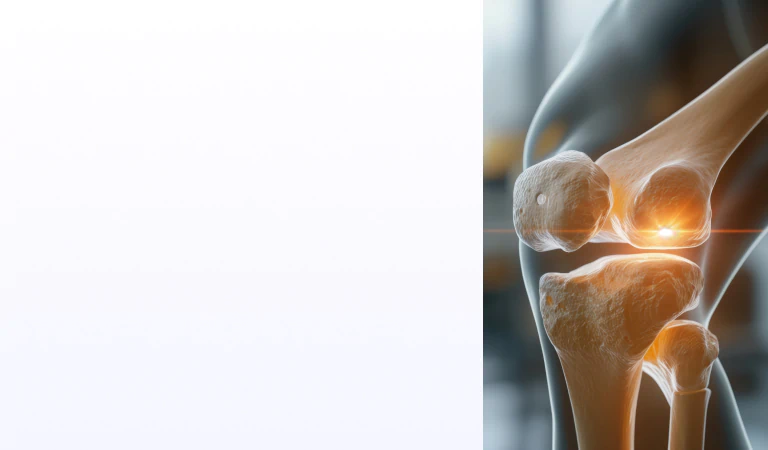 Bone and joint health visual