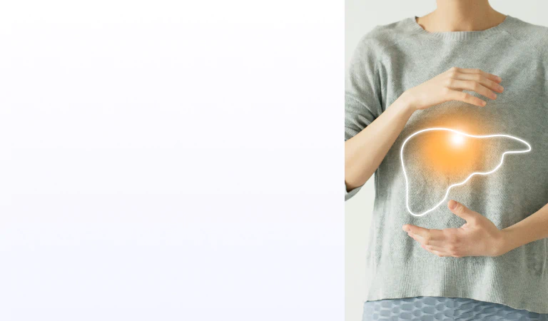 Liver illustration with a human standing