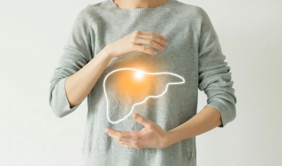 Liver illustration with a human standing