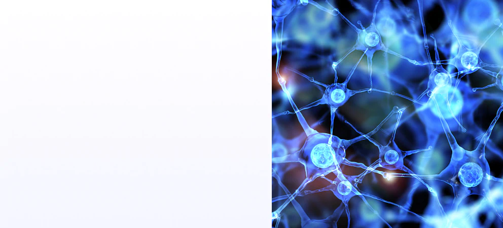Nervous system visual