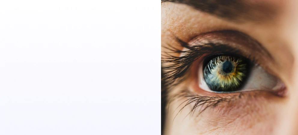 eye visual