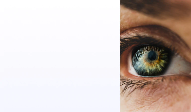 eye visual