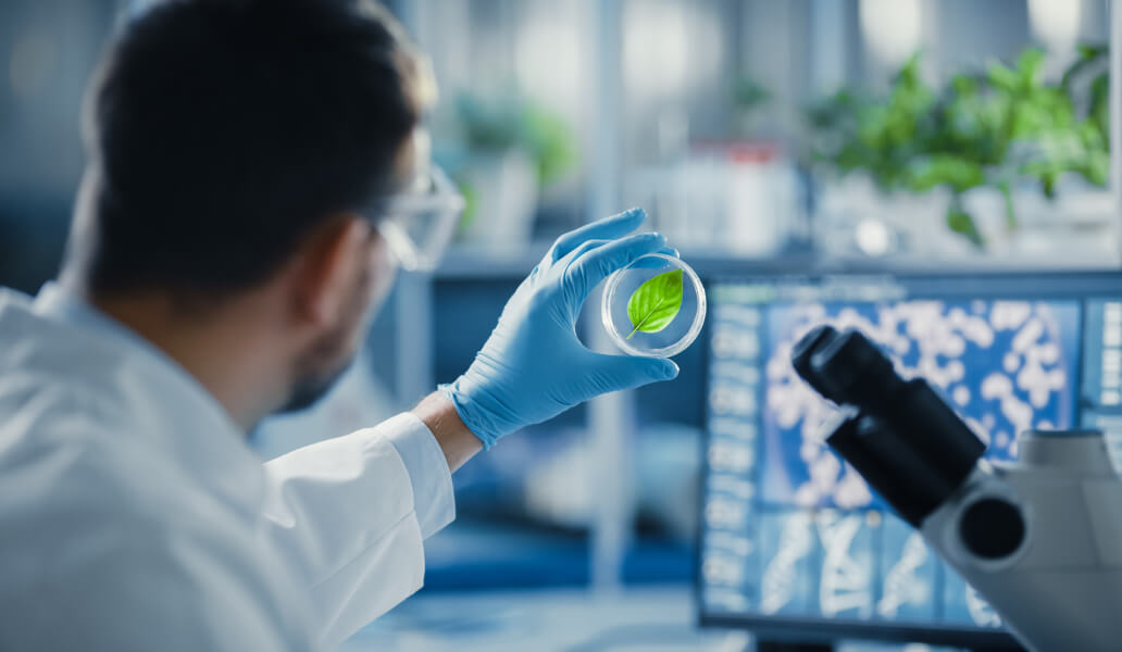 testing at laboratory