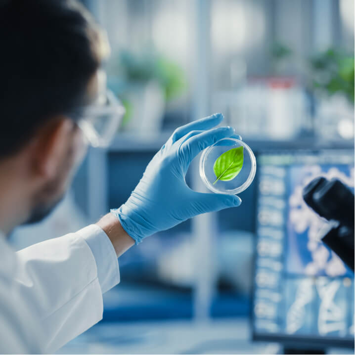 testing at laboratory
