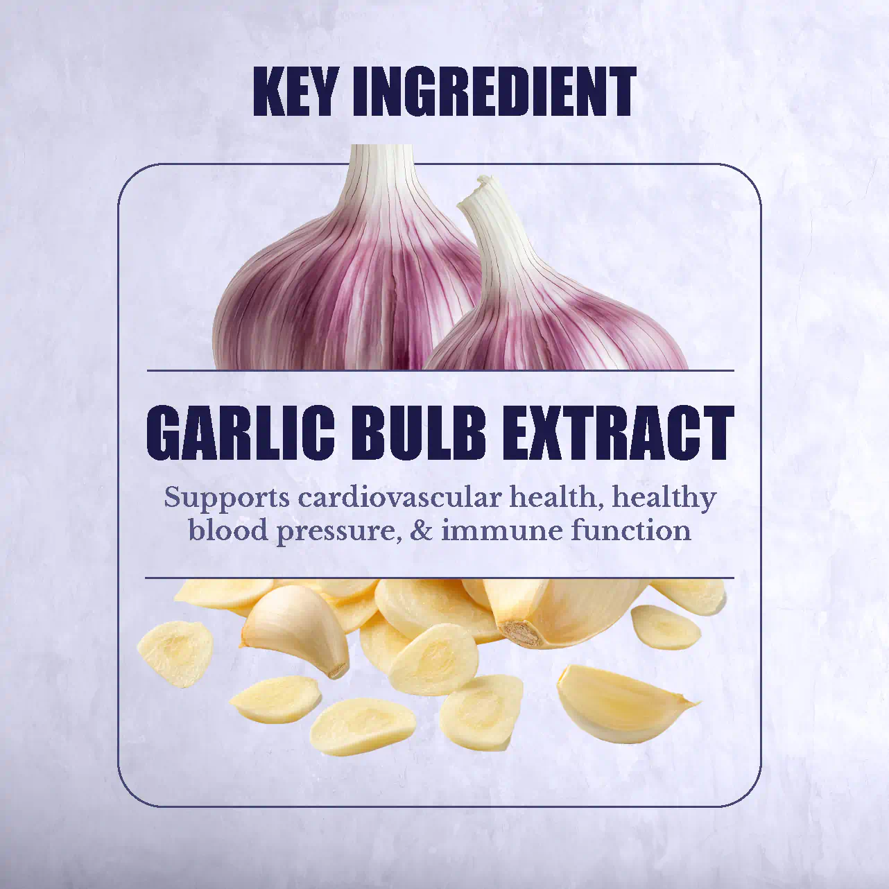 Garlic Bulb Extract