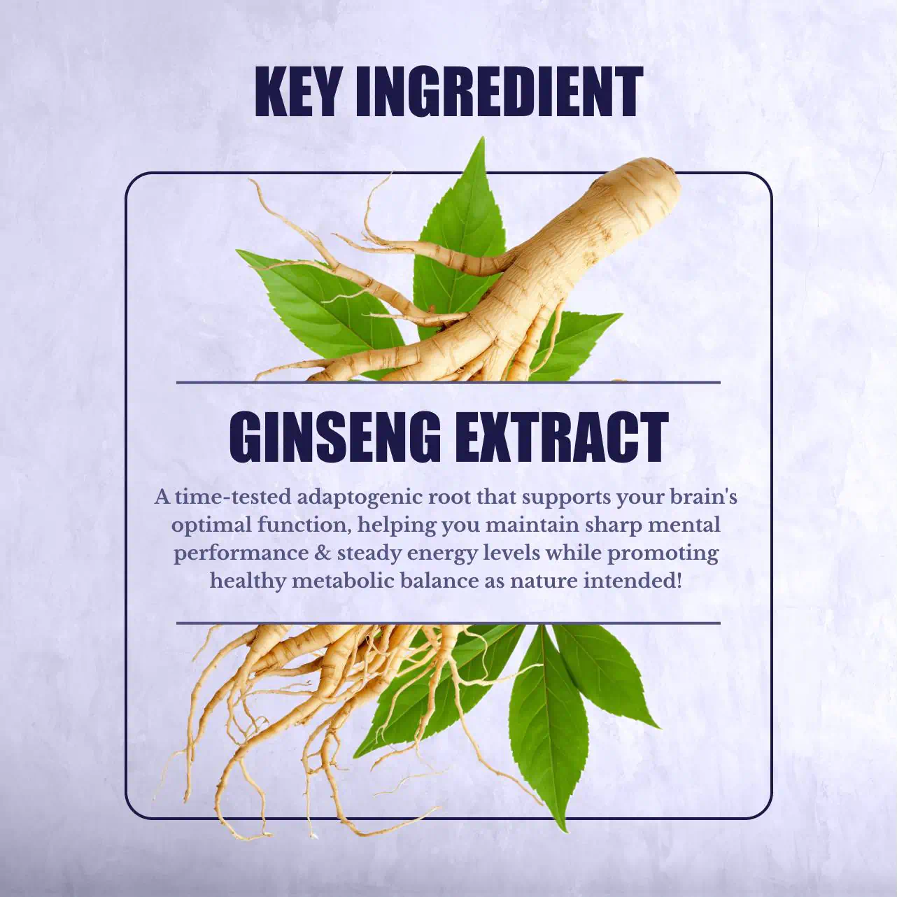 Ginseng