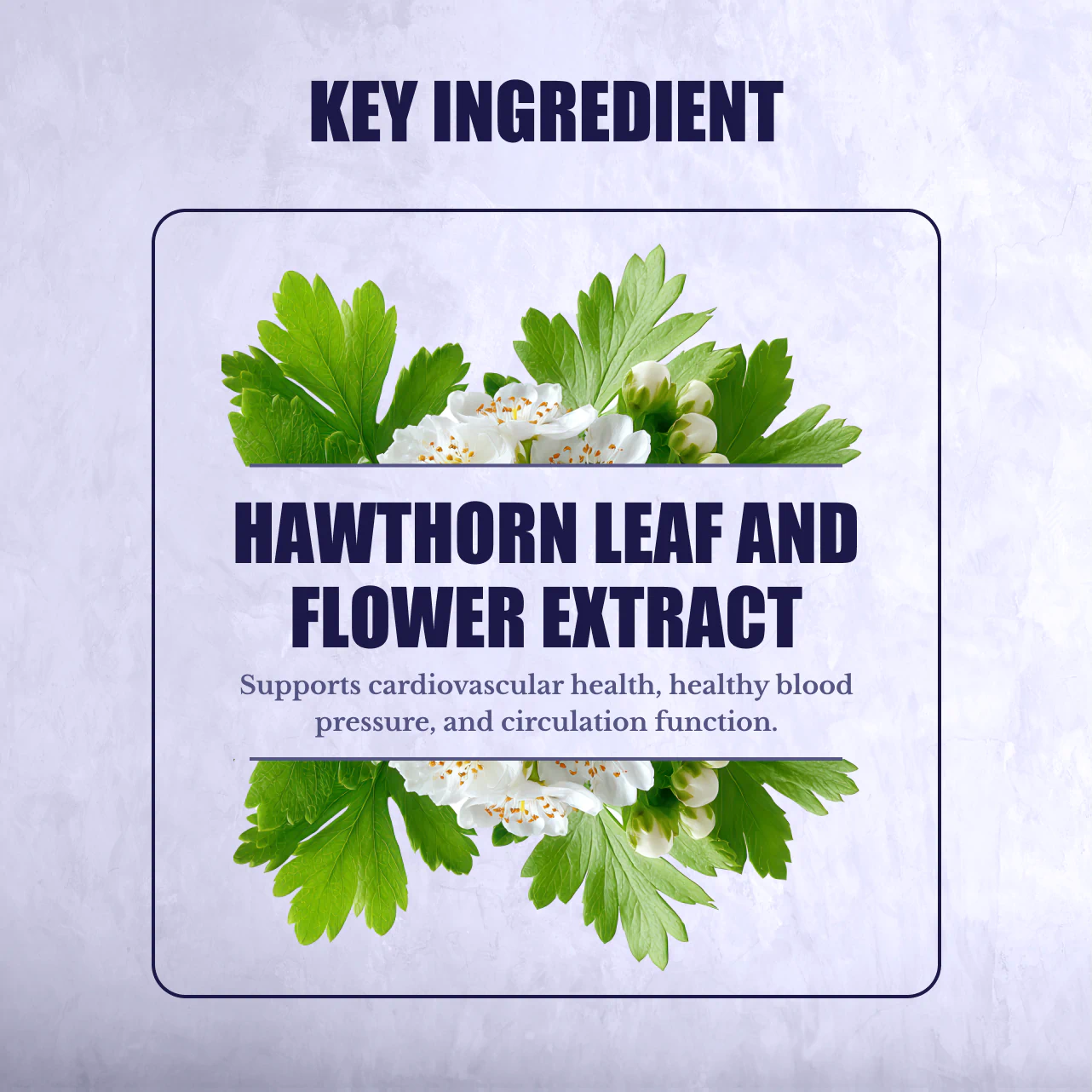 Hawthorn