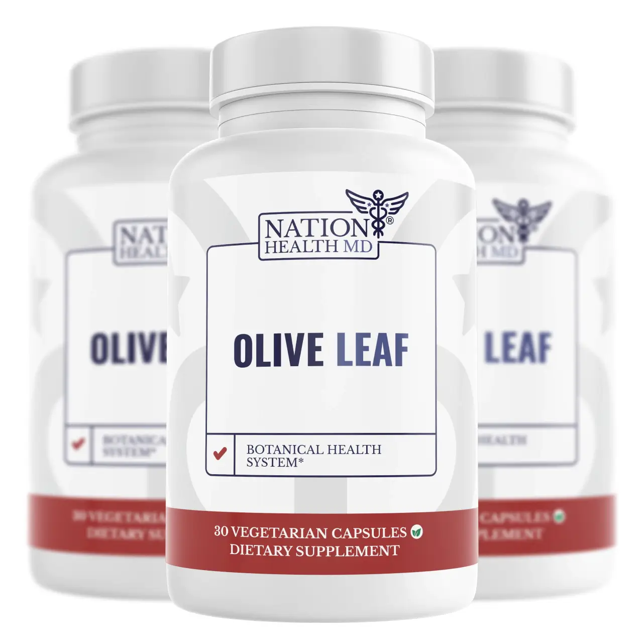 Olive Leaf