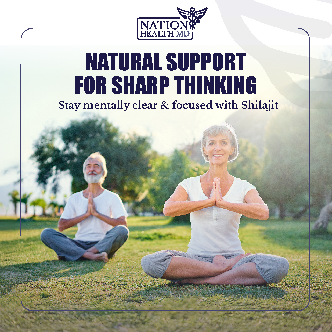 Shilajit