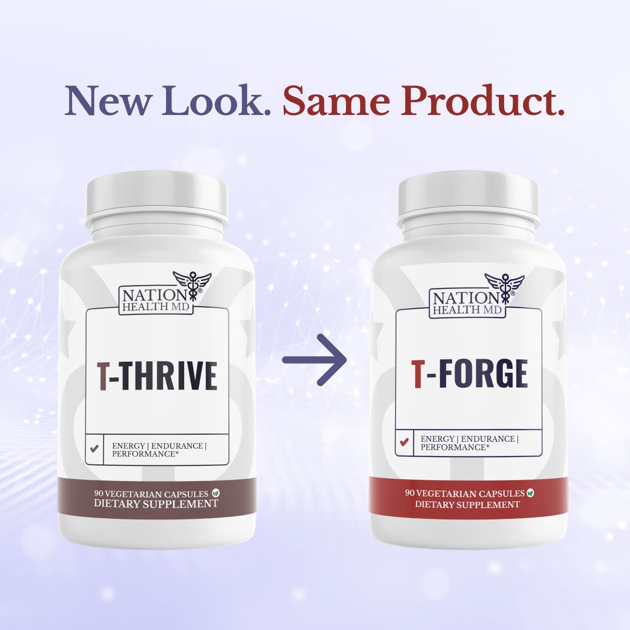 T-Forge