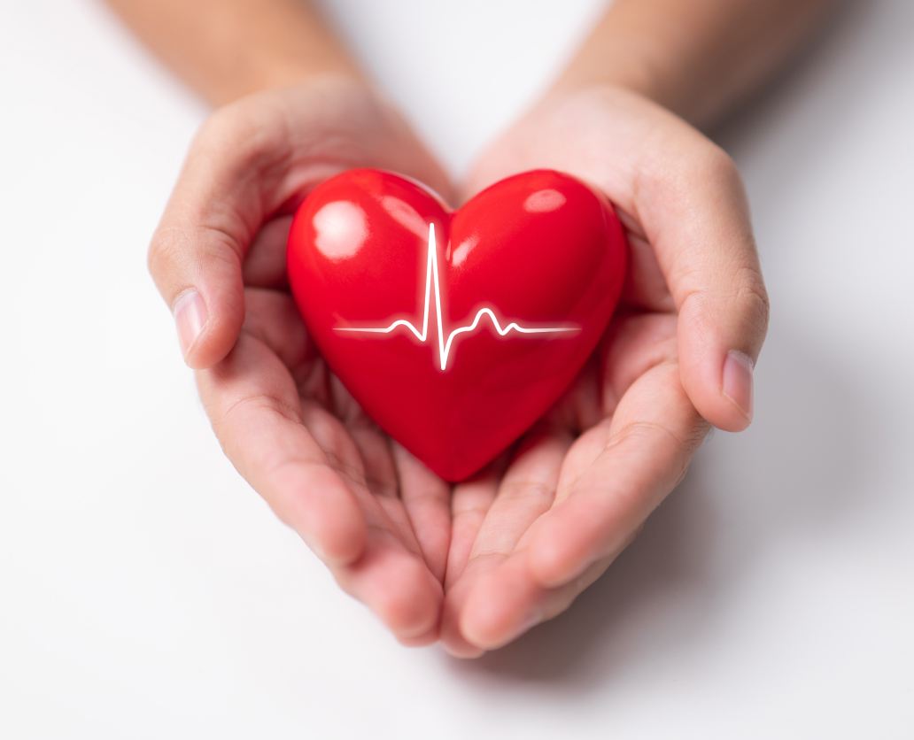 Heart