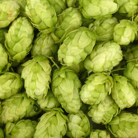 ingredient icon